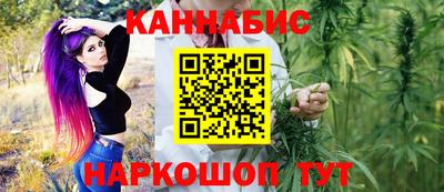 гидра Бердск