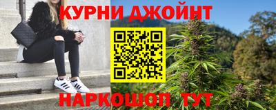 гидра Бердск