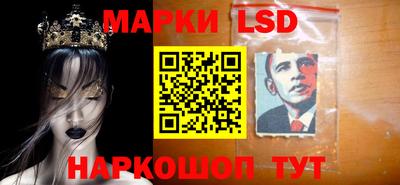 гидра Бердск
