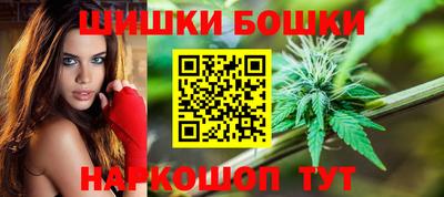 гидра Бердск