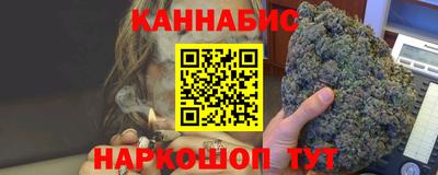 гидра Бердск
