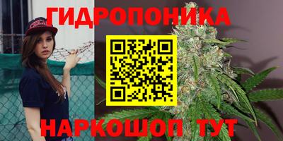 гидра Бердск